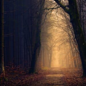 Photo Nature-inspired skincare
