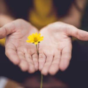 Photo Hand massage