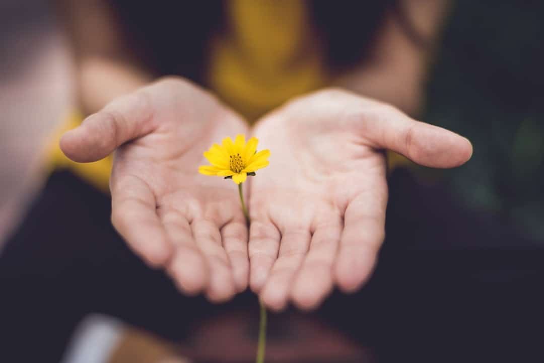 Photo Hand massage